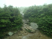 2014 Mt Eisenhower NH 2014-07-28 052 : Bretton Woods, Marshfield Station, New Hampshire, Twin Mountain, United States, USA