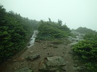 2014 Mt Eisenhower NH 2014-07-28 053 : Bretton Woods, Marshfield Station, New Hampshire, Twin Mountain, United States, USA