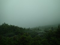 2014 Mt Eisenhower NH 2014-07-28 054 : Bretton Woods, Marshfield Station, New Hampshire, Twin Mountain, United States, USA