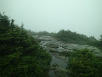 2014 Mt Eisenhower NH 2014-07-28 055 : Bretton Woods, Marshfield Station, New Hampshire, Twin Mountain, United States, USA