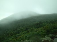 2014 Mt Eisenhower NH 2014-07-28 057 : Bretton Woods, Marshfield Station, New Hampshire, Jackson, United States, USA