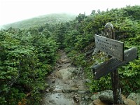 2014 Mt Eisenhower NH 2014-07-28 060 : Bretton Woods, Marshfield Station, New Hampshire, Twin Mountain, United States, USA