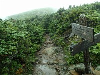 2014 Mt Eisenhower NH 2014-07-28 061 : Bretton Woods, Marshfield Station, New Hampshire, Jackson, United States, USA