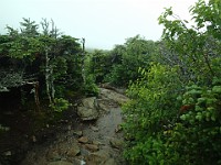 2014 Mt Eisenhower NH 2014-07-28 062 : Bretton Woods, Marshfield Station, New Hampshire, Jackson, United States, USA