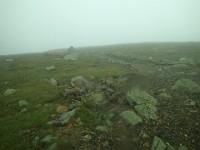 2014 Mt Eisenhower NH 2014-07-28 065 : Bretton Woods, Jackson, Marshfield Station, New Hampshire, United States, USA