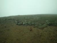 2014 Mt Eisenhower NH 2014-07-28 066 : Bretton Woods, Jackson, Marshfield Station, New Hampshire, United States, USA