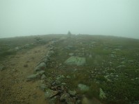 2014 Mt Eisenhower NH 2014-07-28 067 : Bretton Woods, Jackson, Marshfield Station, New Hampshire, United States, USA