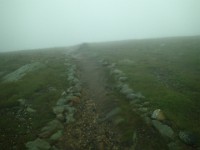 2014 Mt Eisenhower NH 2014-07-28 071 : Bretton Woods, Jackson, Marshfield Station, New Hampshire, United States, USA