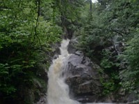 2014 Mt Eisenhower NH 2014-07-28 079 : Bretton Woods, Jackson, Marshfield Station, New Hampshire, United States, USA