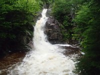 2014 Mt Eisenhower NH 2014-07-28 083 : Bretton Woods, Jackson, Marshfield Station, New Hampshire, United States, USA