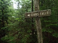 2014 Mt Eisenhower NH 2014-07-28 084 : Bretton Woods, Jackson, Marshfield Station, New Hampshire, United States, USA
