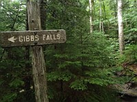 2014 Mt Eisenhower NH 2014-07-28 086 : Bretton Woods, Jackson, Marshfield Station, New Hampshire, United States, USA