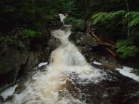 2014 Mt Eisenhower NH 2014-07-28 089 : Bretton Woods, Jackson, Marshfield Station, New Hampshire, United States, USA