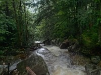 2014 Mt Eisenhower NH 2014-07-28 091 : Bretton Woods, New Hampshire, Twin Mountain, United States, USA