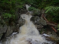 2014 Mt Eisenhower NH 2014-07-28 092 : Bretton Woods, New Hampshire, United States, USA