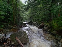 2014 Mt Eisenhower NH 2014-07-28 093 : Bretton Woods, New Hampshire, United States, USA