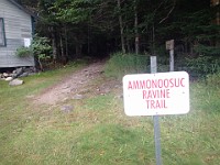 Rave Run Photos  Mt Washington - Rocky, steep, windy, cold, cool waterfalls. : Marshfield Station, New Hampshire, Randolph, Rave Runs, Trail, United States, USA