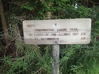 Rave Run Photos  Mt Washington - Rocky, steep, windy, cold, cool waterfalls. : Marshfield Station, New Hampshire, Randolph, Rave Runs, Trail, United States, USA