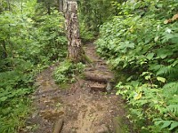 Rave Run Photos  Mt Washington - Rocky, steep, windy, cold, cool waterfalls. : Marshfield Station, New Hampshire, Randolph, Rave Runs, Trail, United States, USA