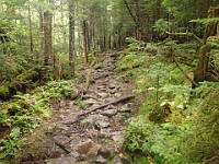 Rave Run Photos  Mt Washington - Rocky, steep, windy, cold, cool waterfalls. : Marshfield Station, New Hampshire, Randolph, Rave Runs, Trail, United States, USA