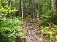 Rave Run Photos  Mt Washington - Rocky, steep, windy, cold, cool waterfalls. : Marshfield Station, New Hampshire, Randolph, Rave Runs, Trail, United States, USA