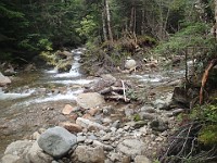 Rave Run Photos  Mt Washington - Rocky, steep, windy, cold, cool waterfalls. : Marshfield Station, New Hampshire, Randolph, Rave Runs, Trail, United States, USA