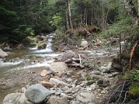 Rave Run Photos  Mt Washington - Rocky, steep, windy, cold, cool waterfalls. : Marshfield Station, New Hampshire, Randolph, Rave Runs, Trail, United States, USA