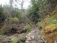Rave Run Photos  Mt Washington - Rocky, steep, windy, cold, cool waterfalls. : Marshfield Station, New Hampshire, Randolph, Rave Runs, Trail, United States, USA