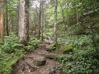 Rave Run Photos  Mt Washington - Rocky, steep, windy, cold, cool waterfalls. : Marshfield Station, New Hampshire, Randolph, Rave Runs, Trail, United States, USA
