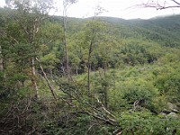 Rave Run Photos  Mt Washington - Rocky, steep, windy, cold, cool waterfalls. : Marshfield Station, New Hampshire, Randolph, Rave Runs, Trail, United States, USA