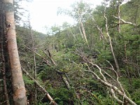 Rave Run Photos  Mt Washington - Rocky, steep, windy, cold, cool waterfalls. : Marshfield Station, New Hampshire, Randolph, Rave Runs, Trail, United States, USA