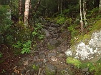 Rave Run Photos  Mt Washington - Rocky, steep, windy, cold, cool waterfalls. : Marshfield Station, New Hampshire, Randolph, Rave Runs, Trail, United States, USA