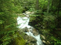 Rave Run Photos  Mt Washington - Rocky, steep, windy, cold, cool waterfalls. : Marshfield Station, New Hampshire, Randolph, Rave Runs, Trail, United States, USA