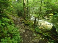 Rave Run Photos  Mt Washington - Rocky, steep, windy, cold, cool waterfalls. : Marshfield Station, New Hampshire, Randolph, Rave Runs, Trail, United States, USA