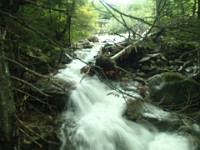 Rave Run Photos  Mt Washington - Rocky, steep, windy, cold, cool waterfalls. : Marshfield Station, New Hampshire, Randolph, Rave Runs, Trail, United States, USA