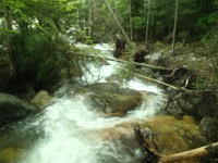 Rave Run Photos  Mt Washington - Rocky, steep, windy, cold, cool waterfalls. : Marshfield Station, New Hampshire, Randolph, Rave Runs, Trail, United States, USA