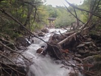 Rave Run Photos  Mt Washington - Rocky, steep, windy, cold, cool waterfalls. : Marshfield Station, New Hampshire, Randolph, Rave Runs, Trail, United States, USA
