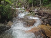 Rave Run Photos  Mt Washington - Rocky, steep, windy, cold, cool waterfalls. : Marshfield Station, New Hampshire, Randolph, Rave Runs, Trail, United States, USA