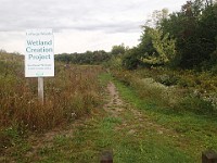 Lefurge Nature Preserve.  Lefurge Nature Preserve, part of the Southeast Michigan Land Conservancy holdings. : Ann Arbor, kasdorf, nature preserve, Trail Run