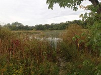 Lefurge Nature Preserve.  Lefurge Nature Preserve, part of the Southeast Michigan Land Conservancy holdings. : Ann Arbor, kasdorf, nature preserve, Trail Run