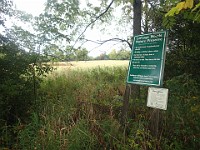 Lefurge Nature Preserve.  Lefurge Nature Preserve, part of the Southeast Michigan Land Conservancy holdings. : Ann Arbor, kasdorf, nature preserve, Trail Run