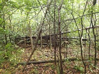 Lefurge Nature Preserve.  Lefurge Nature Preserve, part of the Southeast Michigan Land Conservancy holdings. : Ann Arbor, kasdorf, nature preserve, Trail Run