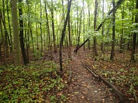Lefurge Nature Preserve.  Lefurge Nature Preserve, part of the Southeast Michigan Land Conservancy holdings. : Ann Arbor, kasdorf, nature preserve, Trail Run