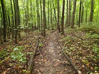 Lefurge Nature Preserve.  Lefurge Nature Preserve, part of the Southeast Michigan Land Conservancy holdings. : Ann Arbor, kasdorf, nature preserve, Trail Run