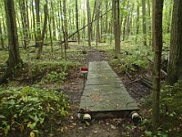 Lefurge Nature Preserve.  Lefurge Nature Preserve, part of the Southeast Michigan Land Conservancy holdings. : Ann Arbor, kasdorf, nature preserve, Trail Run