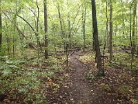 Lefurge Nature Preserve.  Lefurge Nature Preserve, part of the Southeast Michigan Land Conservancy holdings. : Ann Arbor, kasdorf, nature preserve, Trail Run