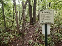 Lefurge Nature Preserve.  Lefurge Nature Preserve, part of the Southeast Michigan Land Conservancy holdings. : Ann Arbor, kasdorf, nature preserve, Trail Run
