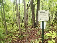 Lefurge Nature Preserve.  Lefurge Nature Preserve, part of the Southeast Michigan Land Conservancy holdings. : Ann Arbor, kasdorf, nature preserve, Trail Run