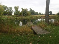Lefurge Nature Preserve.  Lefurge Nature Preserve, part of the Southeast Michigan Land Conservancy holdings. : Ann Arbor, kasdorf, nature preserve, Trail Run