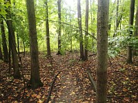 Lefurge Nature Preserve.  Lefurge Nature Preserve, part of the Southeast Michigan Land Conservancy holdings. : Ann Arbor, kasdorf, nature preserve, Trail Run